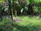 Land for Sale Colombo 5