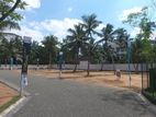 Land for Sale Colombo chilaw Main Road