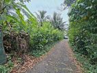 Land for Sale Cultivation, Hanwella, Waga. (ID : HNWL001)