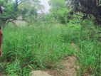 Land for Sale Dabulla