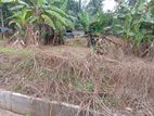 Land for Sale – Dadigamuwa