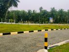 Land for Sale Dagonna