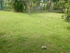 Land For Sale Dalupatha Negombo Gampaha