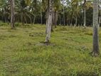 Land for Sale Dambokka, Pothuhera, Kurunegala