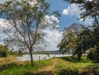 Land for Sale - Dambulla (15 Minutes to Sigiriya Town) (EM781)