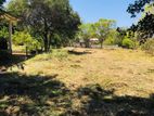 land for sale dambulla