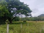 Land for Sale Dambulla