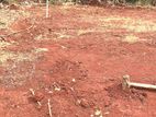 Land for Sale Dambulla