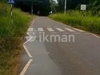 Land for Sale Dambulla