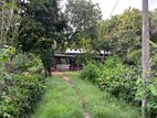 Land for Sale Dambulla Ibbankatuwa