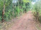 Land for Sale Dambulla ඉඩමක් විකිණීමට දඹුල්ල