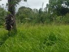 Land for Sale Dambulla ඉඩමක් විකිණීමට දඹුල්ල