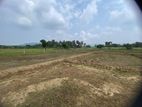Land for Sale Dambulla ඉඩමක් විකිණීමට දඹුල්ල
