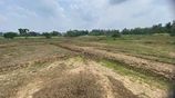 Land for Sale Dambulla ඉඩමක් විකිණීමට දඹුල්ල