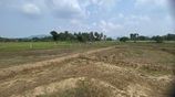 Land for Sale Dambulla ඉඩමක් විකිණීමට දඹුල්ල