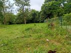 Land for Sale Dambulla ඉඩමක් විකිණීමට දඹුල්ල
