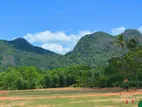 Land for Sale Dambulla, Thittawelgolla