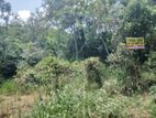 Land For Sale Dampella