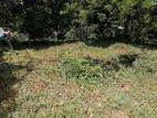 Land for Sale Dangolla