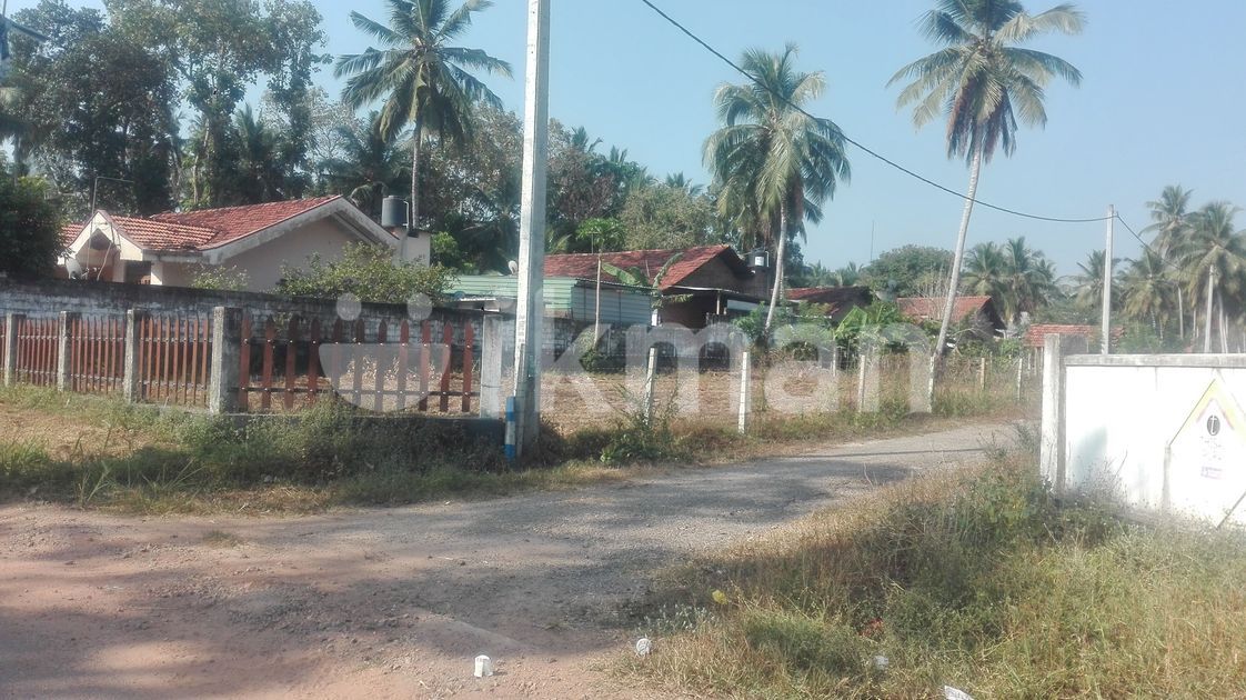 Land for Sale Dankotuwa ikman