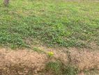 Land for Sale Daraluwa