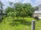 Land for Sale Dehiwala