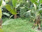 Land for Sale Dehiwala