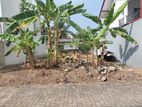 Land for Sale Dehiwala