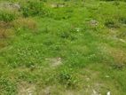 Land For Sale Dehiwala