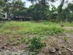 Land for Sale - Dehiwala–Maharagama Road Thi/ls/0016