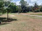 Land for Sale දෙල්දූව