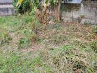 Land for sale-Delgoda