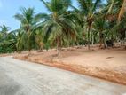 Land for Sale Delgoda