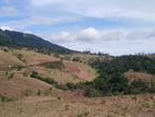 Land for Sale Deltota