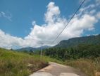Land for Sale Deltota