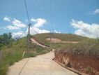 Land for Sale Deltota