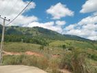 Land for Sale Deltota