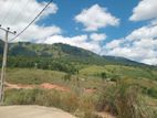 land for sale deltota