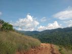 land for sale deltota