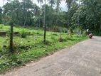 Land for Sale Demanhandiya
