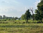 land for sale Digampathaha