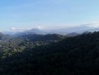 Land for Sale Digana Area