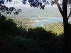 Land for Sale Digana