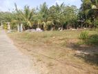 Land for Sale Dikhenapura