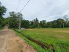 Land for Sale Dikkumbura