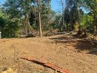 Land For Sale Dikwella