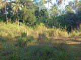 Land for Sale Dikwella Rathmale