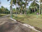 Land for Sale Diulapitiya