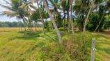 Land for Sale - Diulapitiya (Muddaragama-Kappetiwalana)