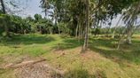 Land for Sale - Diulapitiya (Muddaragama-Kappetiwalana)